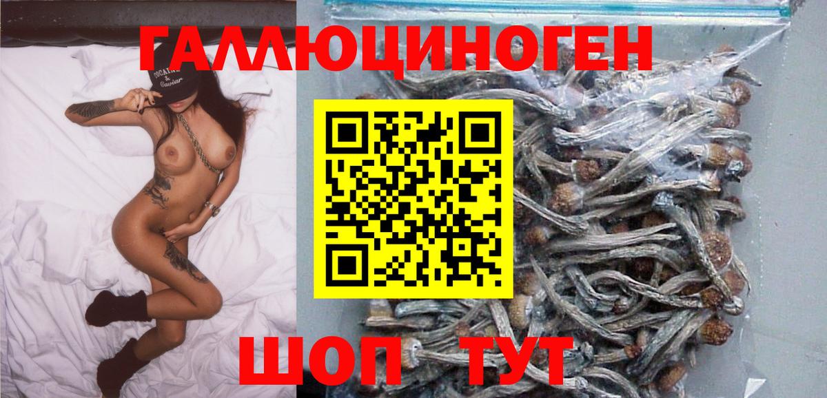 как найти   Псилоцибиновые грибы Magic Shrooms  Вход с VPN  Урюпинск 