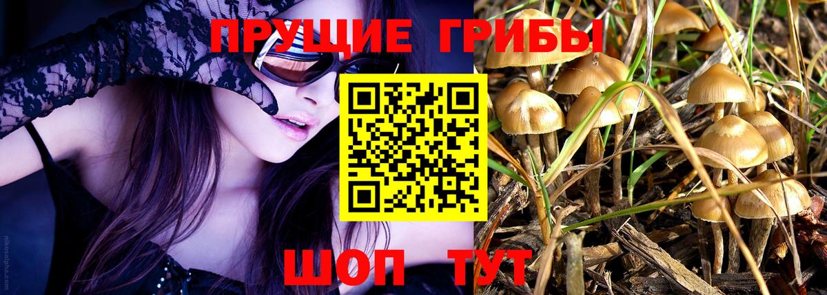 Галлюциногенные грибы Magic Shrooms Урюпинск